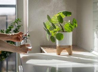 Rośliny doniczkowe odpowiednie do łazienki – jakie kwiaty doniczkowe pasują do łazienki?